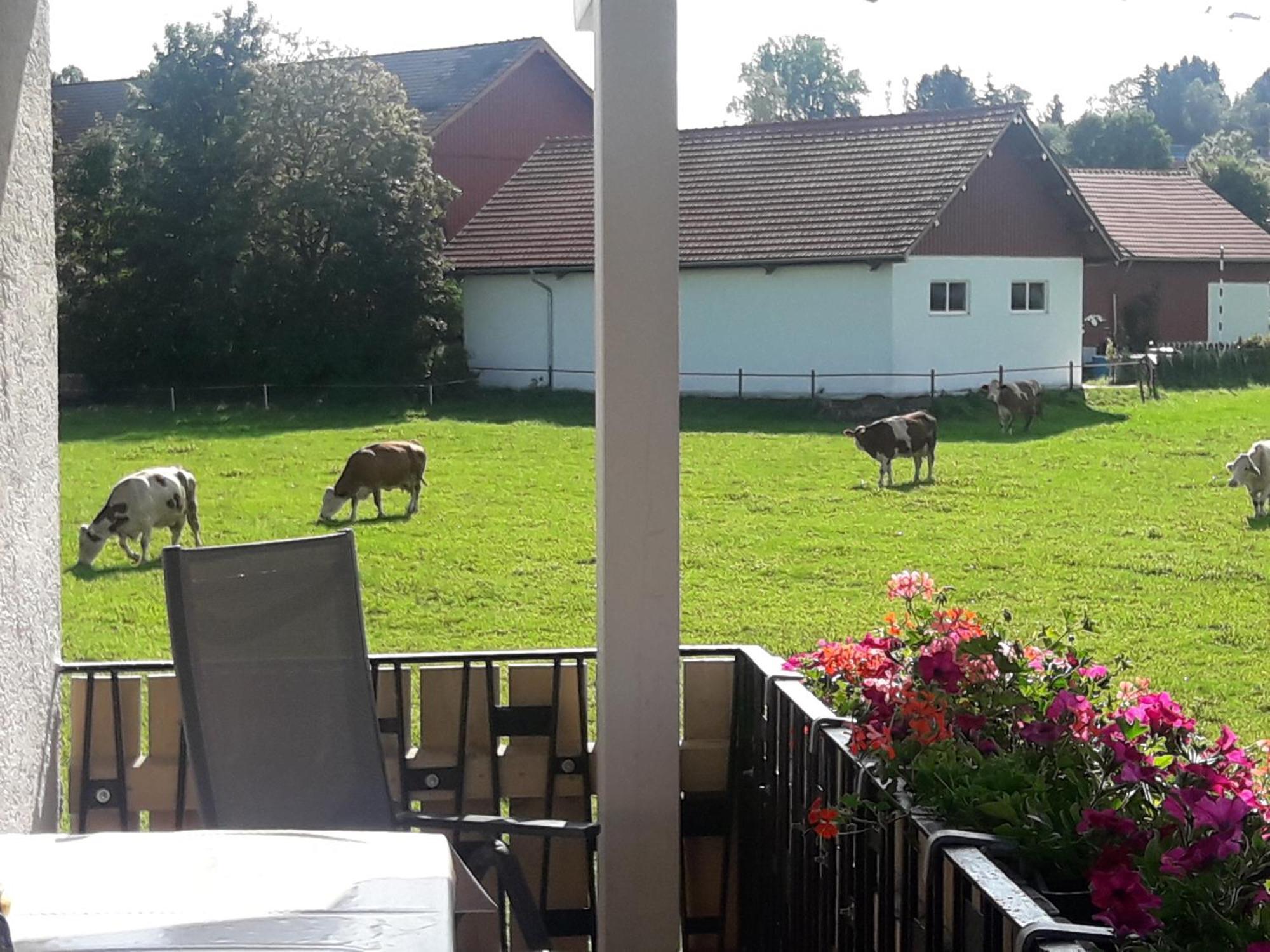 Gaestehaus Reisacher - Mehrbettzimmer Peiting Exterior foto