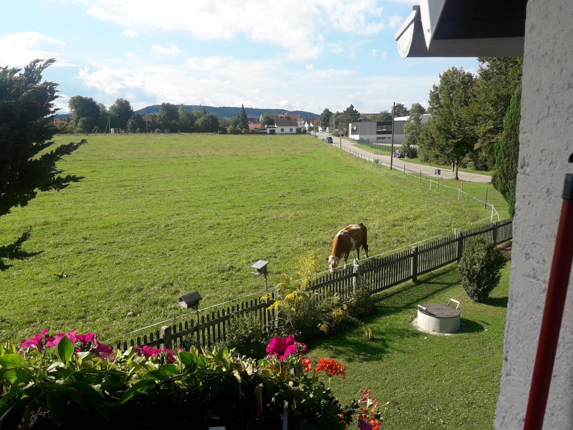 Gaestehaus Reisacher - Mehrbettzimmer Peiting Exterior foto